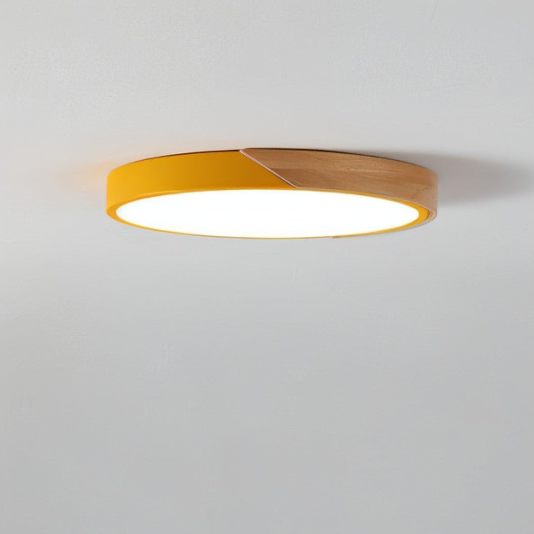 Deckenleuchte LED Flach | Dimmbar Fernbedienung